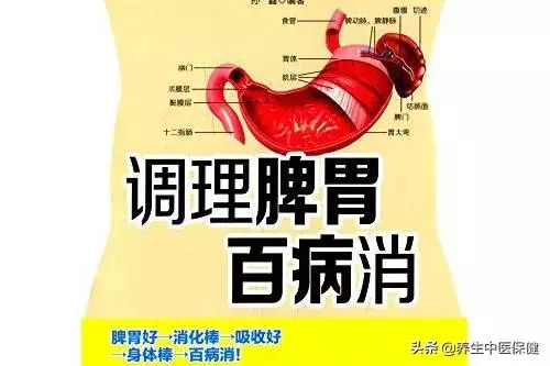 濕氣不除,五臟皆病!老中醫分享:百歲文學巨匠楊絳的養生之道!