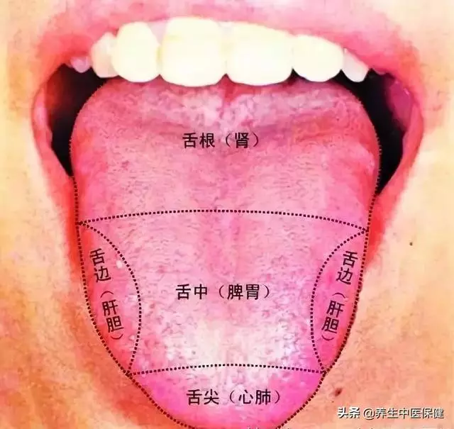 濕氣不除,五臟皆病!老中醫分享:百歲文學巨匠楊絳的養生之道!