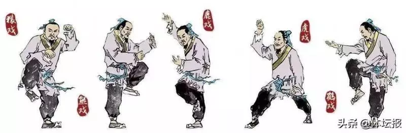 足不出戶也能從頭煉到腳,試試新編版的「五禽戲」