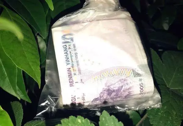 老伴離世,老婦種下一片果林,三年之後,果樹上長出了一袋袋錢