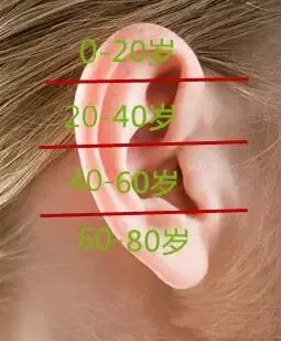 看一個人是否聰明,只要看一下耳朵, 快看你耳朵上有沒有?