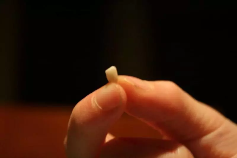 別再把「小孩掉落的乳牙」扔掉了!最新研究證明:關鍵時刻可救自己一命!