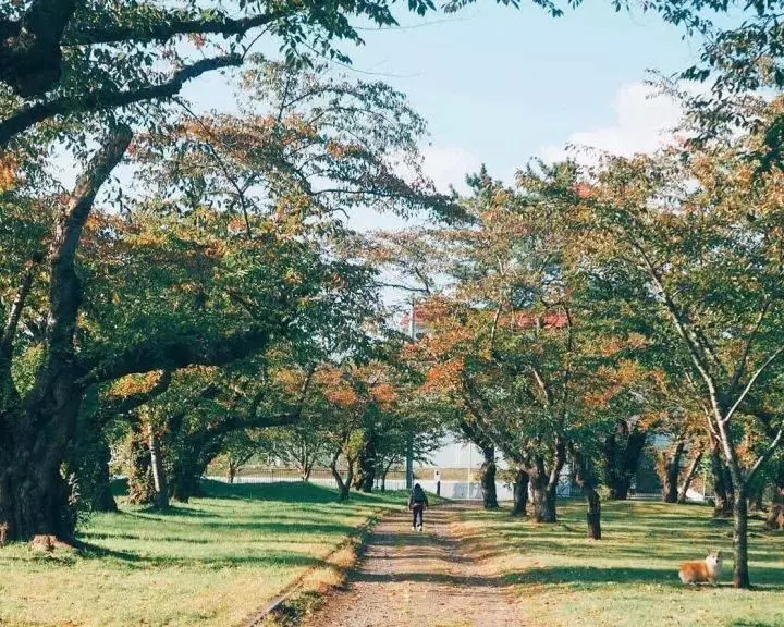 一家四口隱居在超美北海道過著「田園生活」,日常生活照吸引數十萬人追蹤!