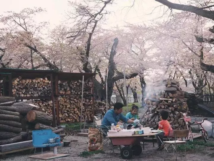 一家四口隱居在超美北海道過著「田園生活」,日常生活照吸引數十萬人追蹤!