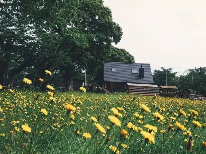 一家四口隱居在超美北海道過著「田園生活」,日常生活照吸引數十萬人追蹤!
