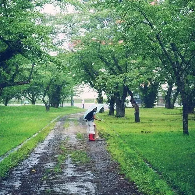 一家四口隱居在超美北海道過著「田園生活」,日常生活照吸引數十萬人追蹤!