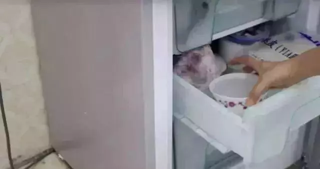 冰箱放一物,5年不用清潔,不結霜還特省電,個個都夸好!