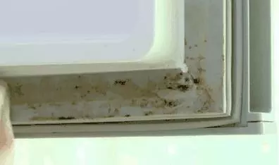 冰箱放一物,5年不用清潔,不結霜還特省電,個個都夸好!