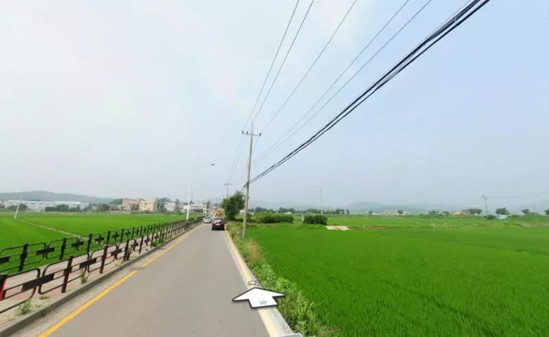 「你媽在切肉機裡....」碎屍DNA抖真相 毒男對阿嬤求愛不成就開殺