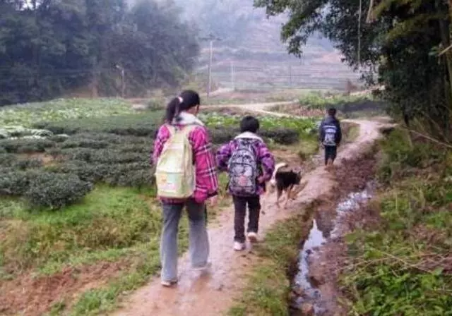 婆婆和姑姐要私吞我嫁妝,我一箭三雕,現在反而她們斷絕母女關係