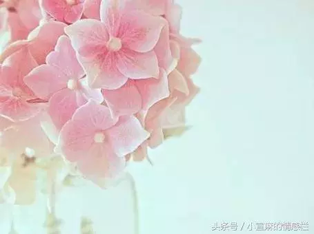 婆婆和姑姐要私吞我嫁妝,我一箭三雕,現在反而她們斷絕母女關係