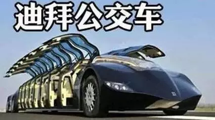 一女子非要去杜拜撿垃圾,家人攔都攔不住!結果嚇你一跳!