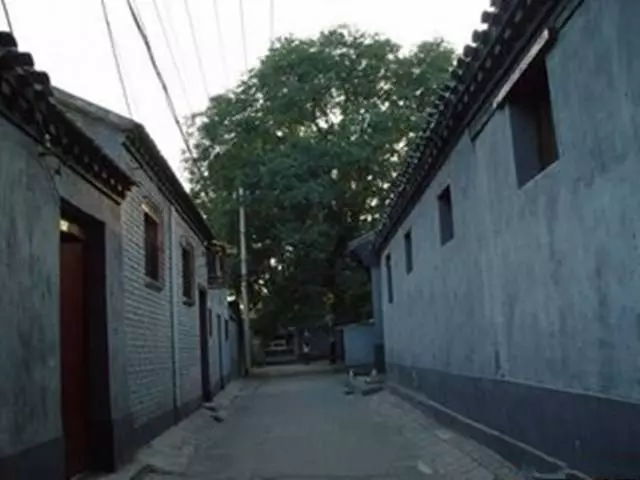 婚後三年沒有回老家,元宵節帶妻子回去團聚,推開門我淚目