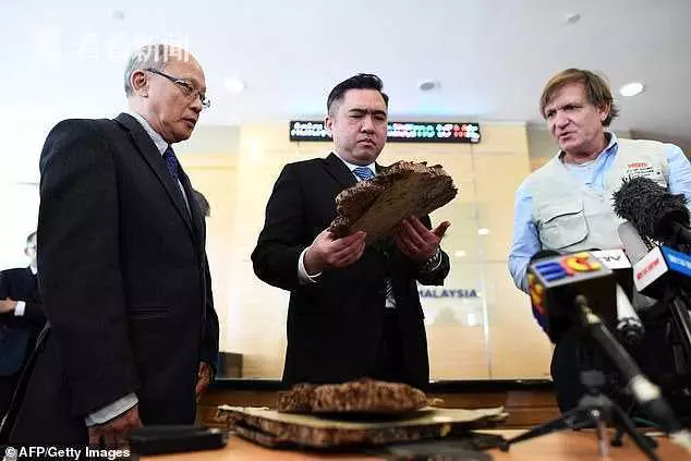 有5名目擊者!愛爾蘭私家偵探爆料MH370被誤擊,禍首就是大馬軍方!