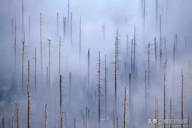 一位患有色盲症的攝影師,拍出了不一樣的照片