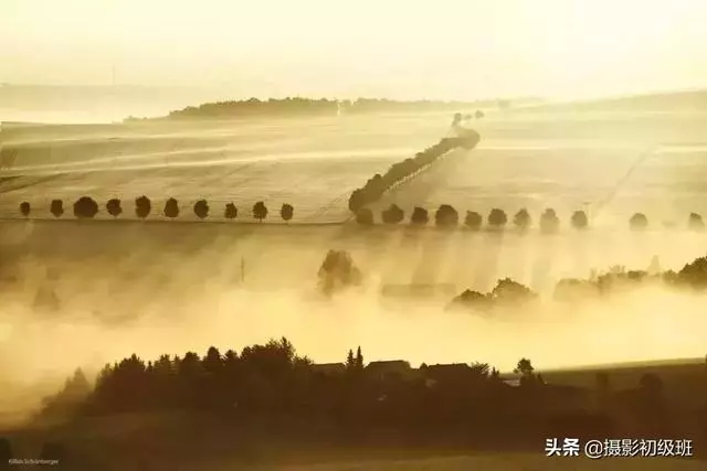 一位患有色盲症的攝影師,拍出了不一樣的照片