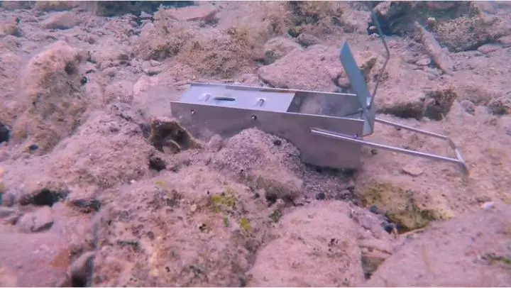 (內有視頻)男子在海底放一個奇怪的小鐵盒…結果抓到超恐怖生物讓人看了背脊發涼~!