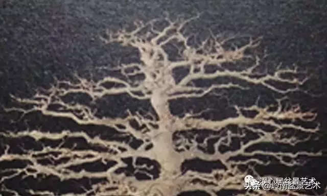頂上功夫——嶺南盆景結頂