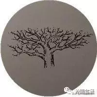 頂上功夫丨最常見的八種盆景結頂方式