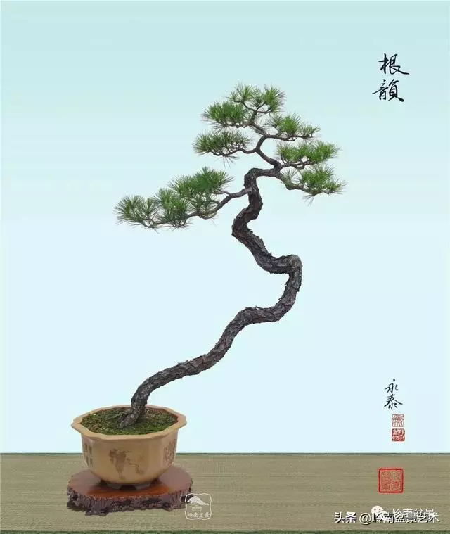 頂上功夫丨最常見的八種盆景結頂方式
