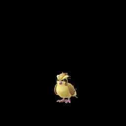 Pokémon Day Celebration Event 2019