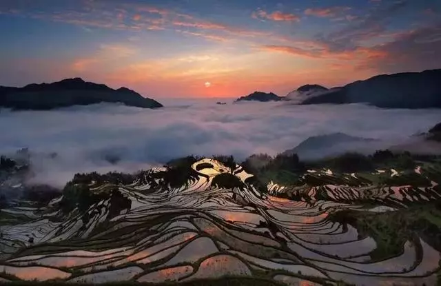 為給母親養老,他跑到鄉下蓋房,得國際大獎,造就全球必睡民宿!