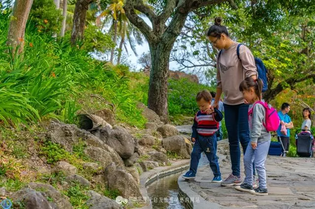 台東有一處水往上流的景觀,路過的人都想去看看