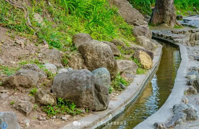 台東有一處水往上流的景觀,路過的人都想去看看