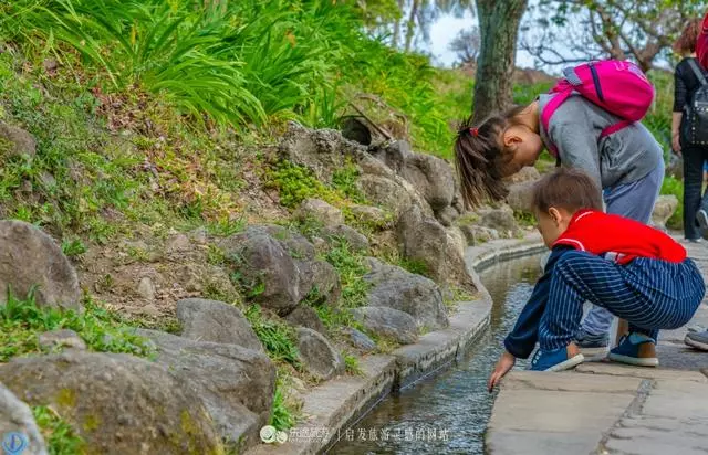 台東有一處水往上流的景觀,路過的人都想去看看