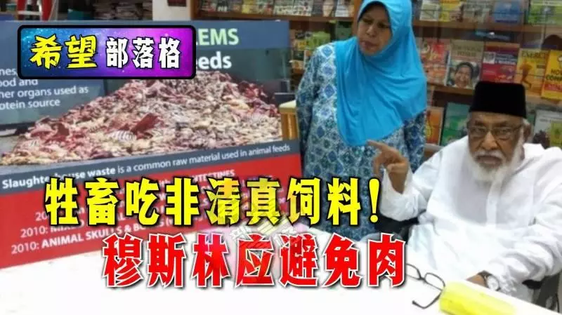 他又來了!這次又到魚不清真?