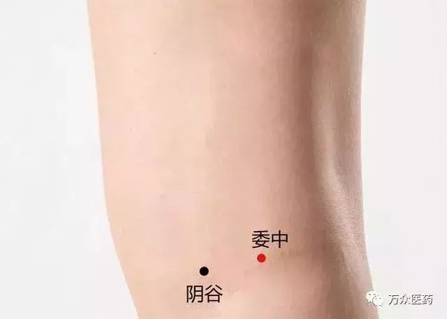 千寒易除,一濕難去!這五個穴位四種食物讓你快速祛濕!