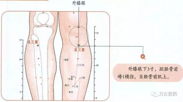 千寒易除,一濕難去!這五個穴位四種食物讓你快速祛濕!