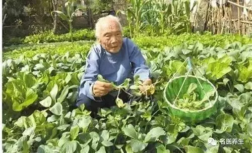 102歲老人30歲的器官,竟是因常吃它!降血壓,保護眼睛、心臟、肝臟,預防骨質疏鬆、老年癡呆