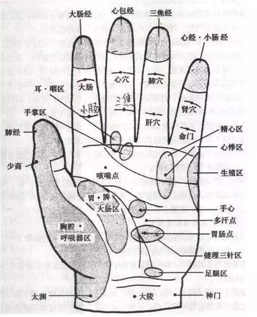 每天按摩小拇指50次,堅持一段時間,腰不疼、腿不酸,連頭髮也烏黑了,不用去染髮