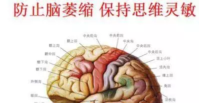 每天早晚活動一次,防止腦衰老、腦萎縮,方法超簡單,每個人都做得到!!