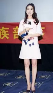 娛樂圈年近40仍沒男人敢追的十大絕色女星!第4位真的太可惜了..