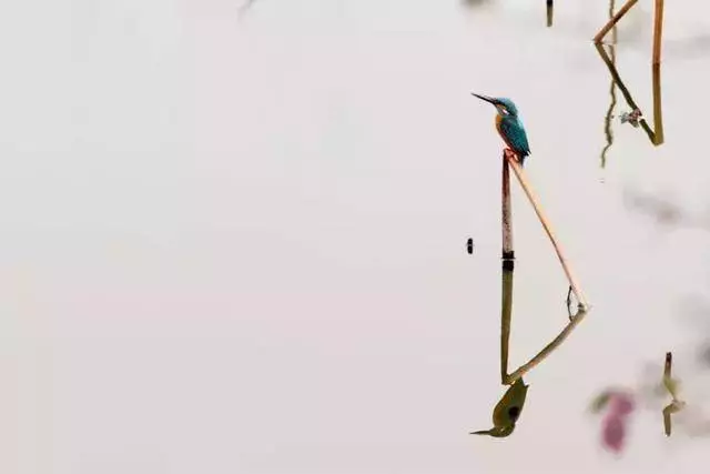 生父母為了要個兒子,把我送給大姨,如今我事業有成,她們讓我給養老