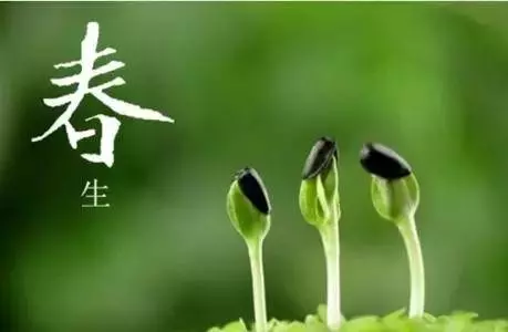 春季常吃4種青色食物,護肝降壓效果好,你都吃了嗎?