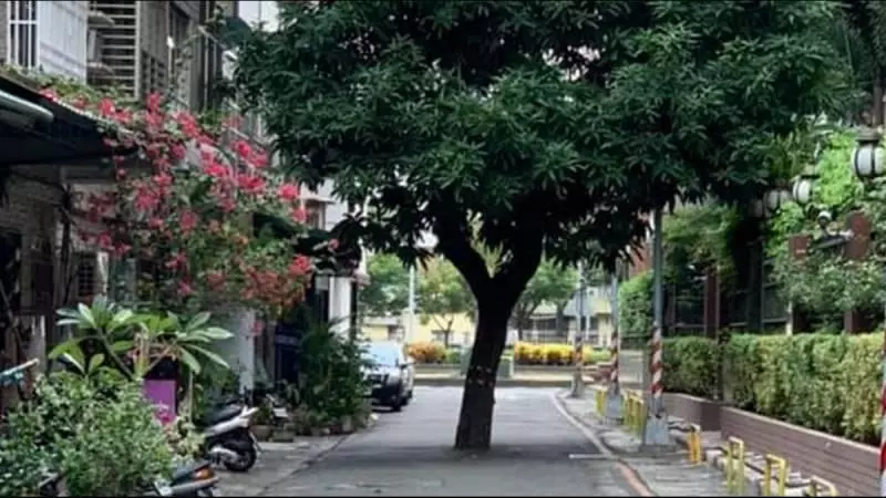 最貴路霸!高雄大樹「擋路中間20年」誰也趕不走 打電話報警「被告知要4千萬」網驚:後台很硬