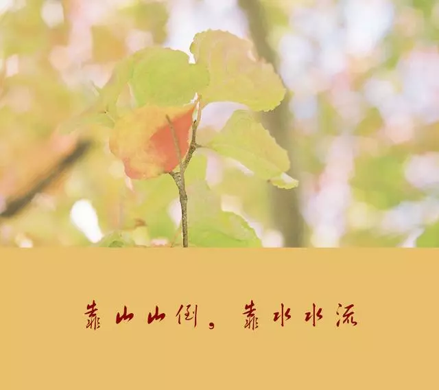 人活著,最大的靠山,不是別人,而是自己!靠自己最靠譜