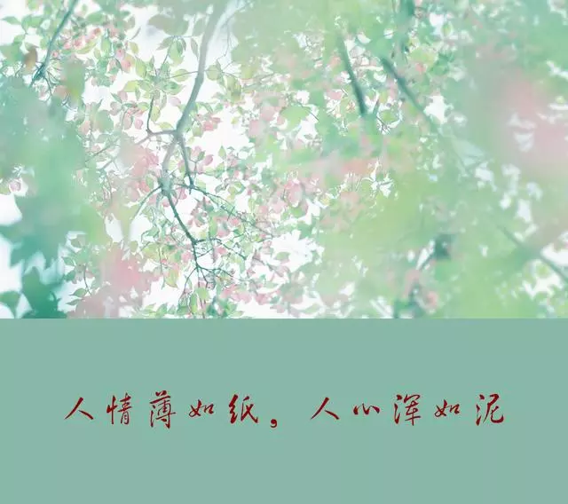 人活著,最大的靠山,不是別人,而是自己!靠自己最靠譜
