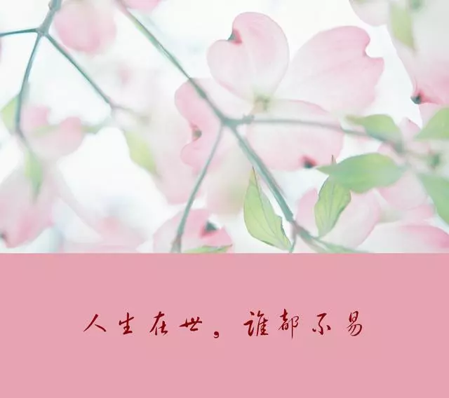 人活著,最大的靠山,不是別人,而是自己!靠自己最靠譜