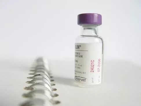 它們是「天然胰島素」!糖友們照著吃,可擺脫藥物困擾!分享給家裡的爸媽。