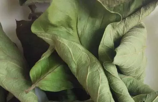 它們是「天然胰島素」!糖友們照著吃,可擺脫藥物困擾!分享給家裡的爸媽。
