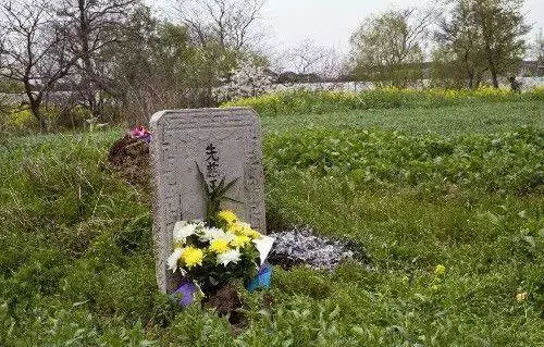 女兒托夢說想吃餃子,母親煮好端到墳前,抬頭瞥見墓碑,撒腿就跑