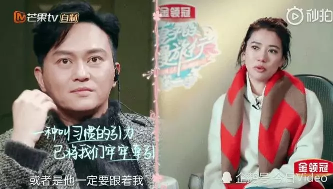 【27年來從未一個人旅行!】第一次旅行張智霖不在身邊,袁詠儀不習慣爆哭:他跑不掉了!