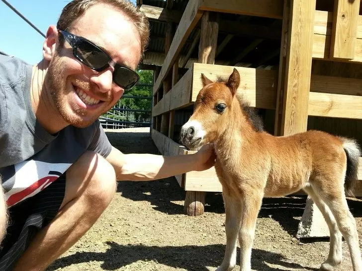 20隻「以為只會在童話故事看到的」超神奇動物 比狗大隻還會爬樹的螃蟹看過嗎?