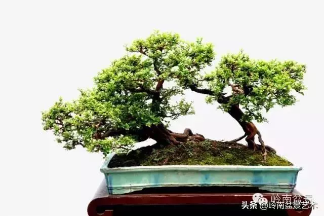越是大師作品越講究章法嚴謹,看起來更舒暢自然