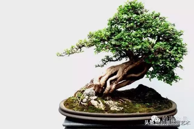 越是大師作品越講究章法嚴謹,看起來更舒暢自然
