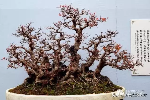 越是大師作品越講究章法嚴謹,看起來更舒暢自然